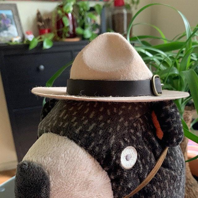 Park Ranger Mini Hat – Embroidered Costume Headpiece for Adults, Kids & Pets, Ranger Dress-Up