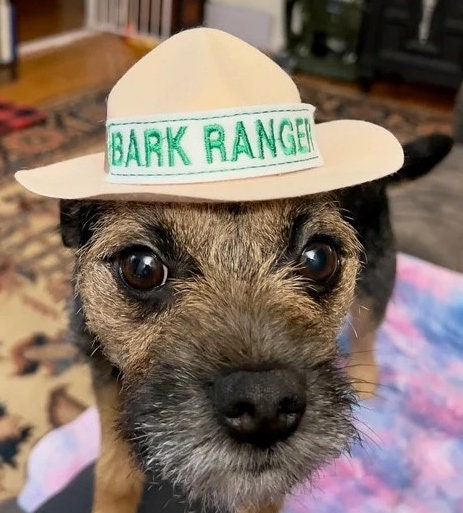 Park Ranger Mini Hat – Embroidered Costume Headpiece for Adults, Kids & Pets, Ranger Dress-Up