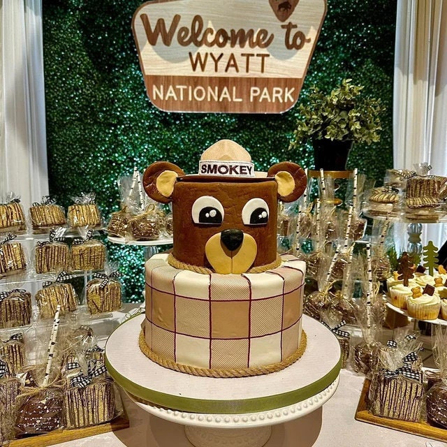 Park Ranger Mini Hat – Embroidered Costume Headpiece for Adults, Kids & Pets, Ranger Dress-Up