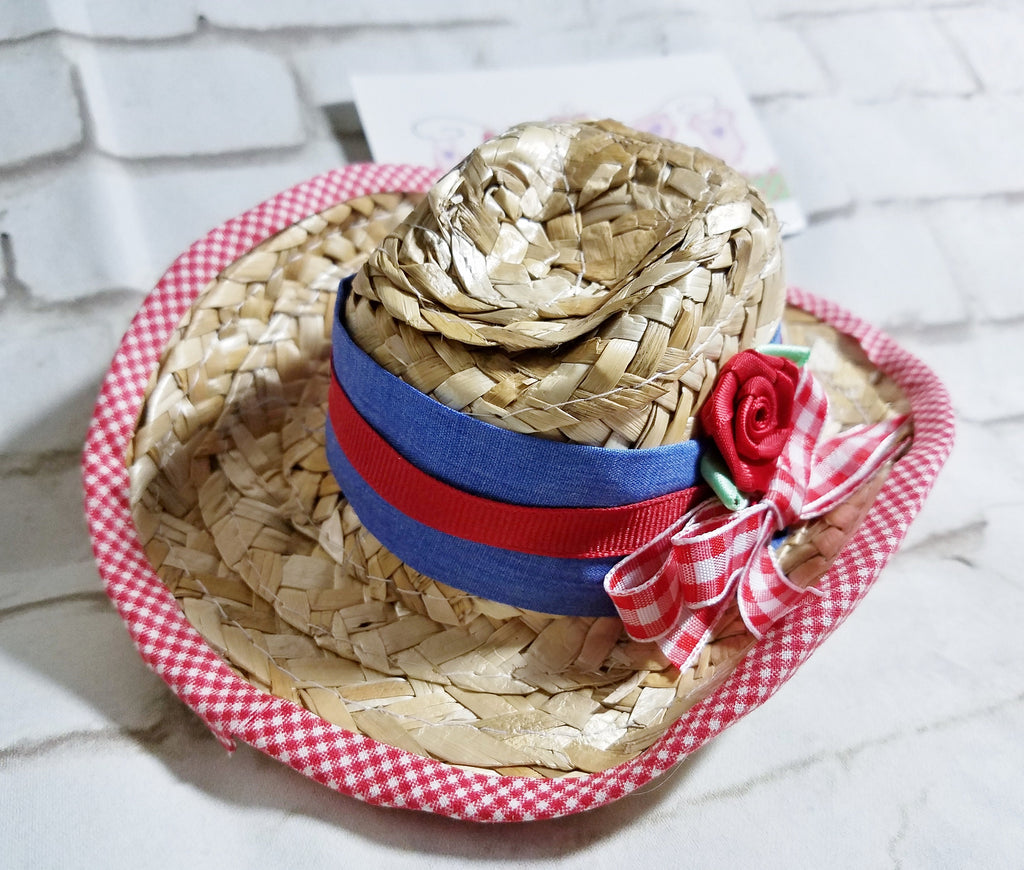 Straw Mini Cowboy Hat – Western Cowgirl Costume Hat for Adults, Kids & Pets, Rodeo Headpiece